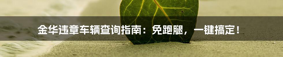 金华违章车辆查询指南:免跑腿,一键搞定!
