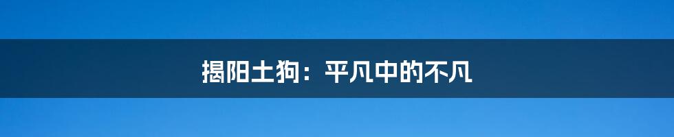 揭阳土狗：平凡中的不凡