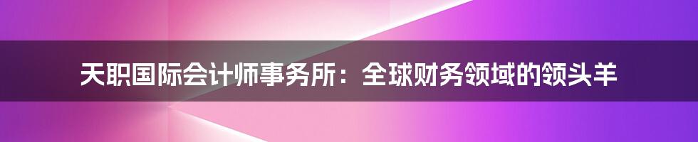 天职国际会计师事务所:全球财务领域的领头羊