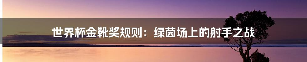 世界杯金靴奖规则:绿茵场上的射手之战