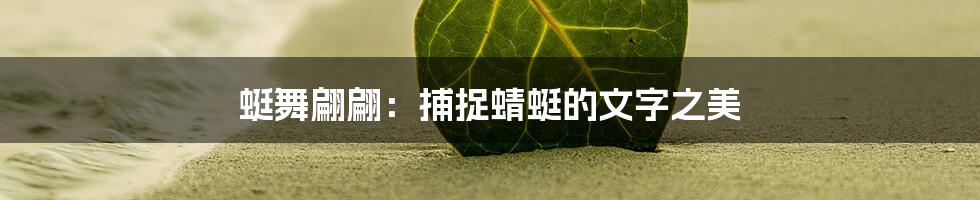 蜓舞翩翩：捕捉蜻蜓的文字之美