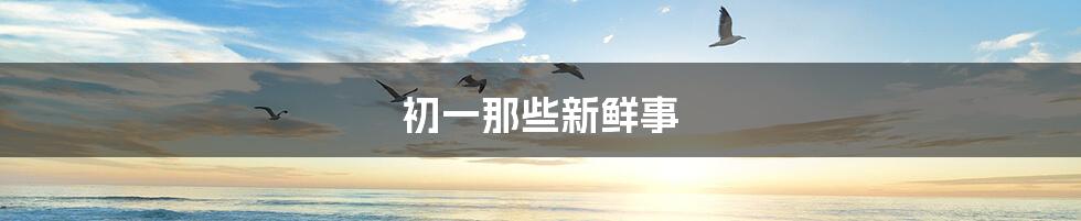 初一那些新鲜事