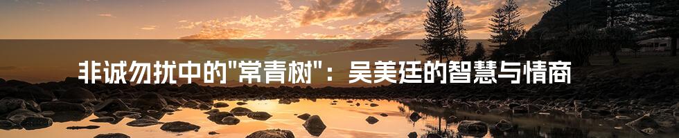 非诚勿扰中的"常青树":吴美廷的智慧与情商