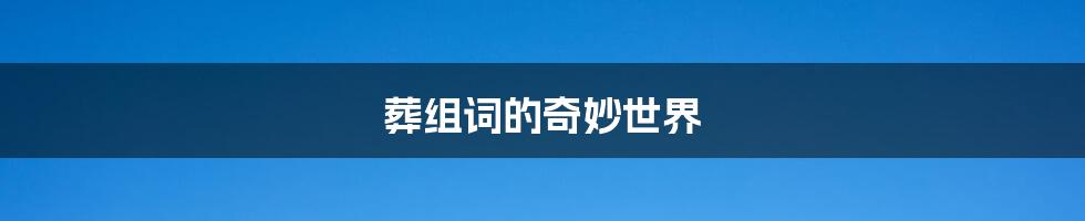 葬组词的奇妙世界