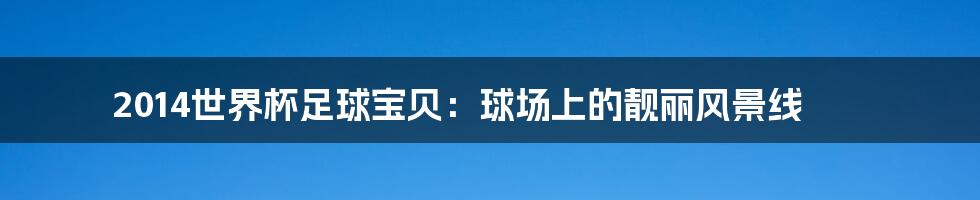 2014世界杯足球宝贝：球场上的靓丽风景线