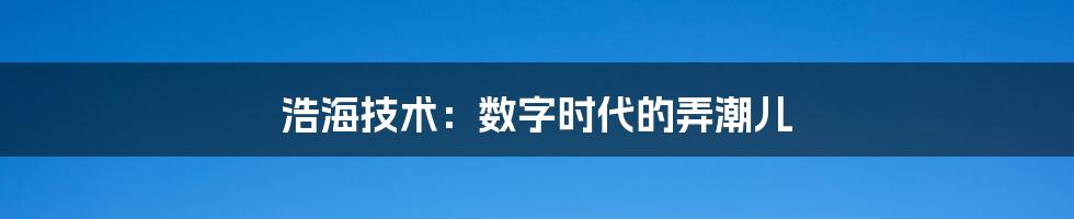 浩海技术：数字时代的弄潮儿