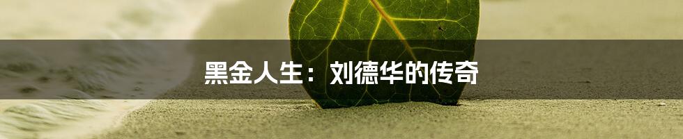 黑金人生:刘德华的传奇