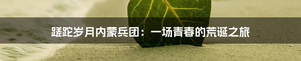 蹉跎岁月内蒙兵团:一场青春的荒诞之旅