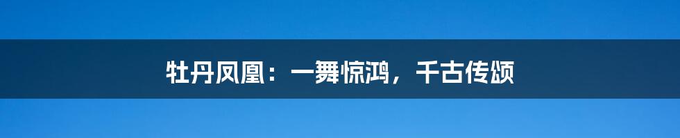 牡丹凤凰：一舞惊鸿，千古传颂