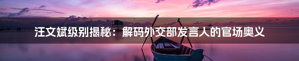 汪文斌级别揭秘:解码外交部发言人的官场奥义