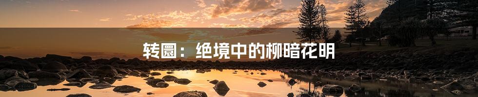 转圜:绝境中的柳暗花明