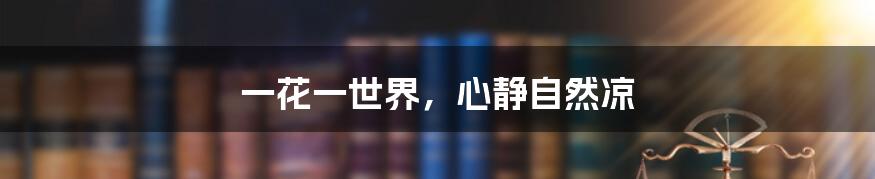 一花一世界,心静自然凉