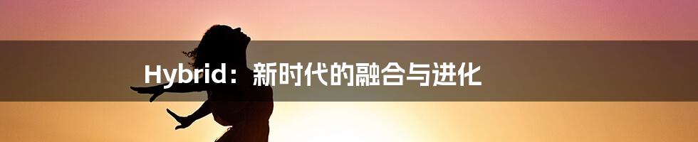 Hybrid:新时代的融合与进化