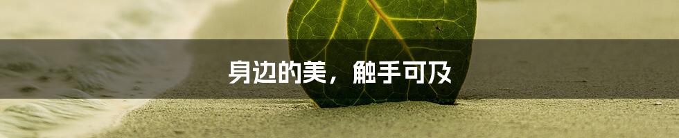 身边的美,触手可及