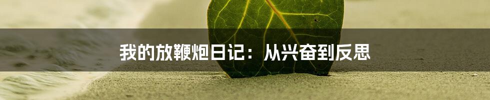 我的放鞭炮日记：从兴奋到反思