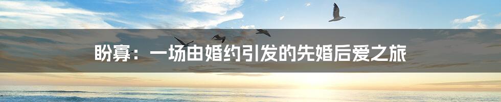盼寡:一场由婚约引发的先婚后爱之旅