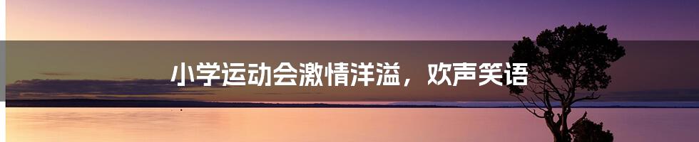 小学运动会激情洋溢，欢声笑语