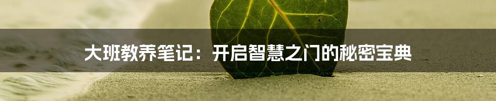 大班教养笔记：开启智慧之门的秘密宝典
