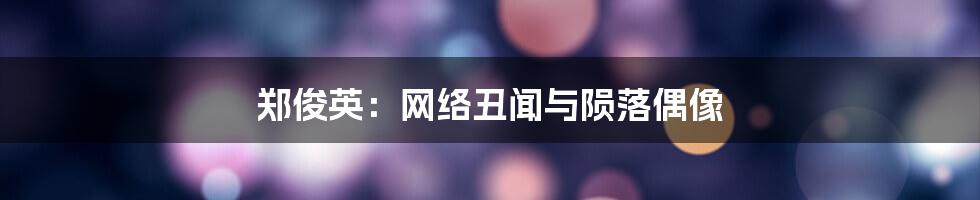 郑俊英：网络丑闻与陨落偶像