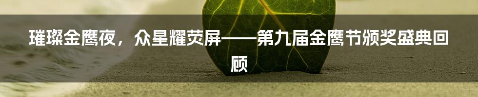 璀璨金鹰夜,众星耀荧屏——第九届金鹰节颁奖盛典回顾