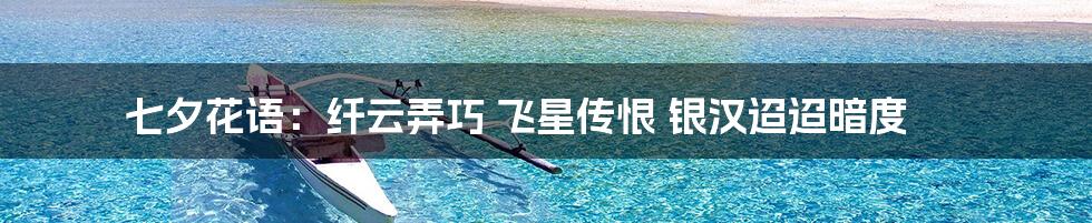 七夕花语:纤云弄巧 飞星传恨 银汉迢迢暗度