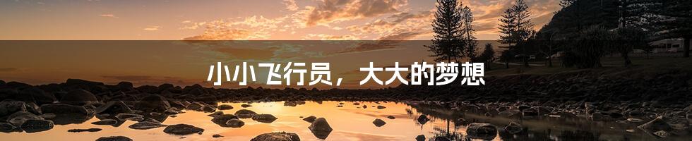 小小飞行员，大大的梦想