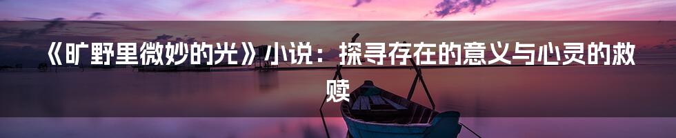《旷野里微妙的光》小说:探寻存在的意义与心灵的救赎