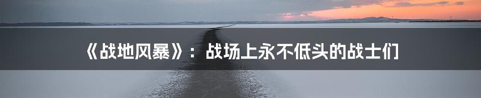 《战地风暴》:战场上永不低头的战士们