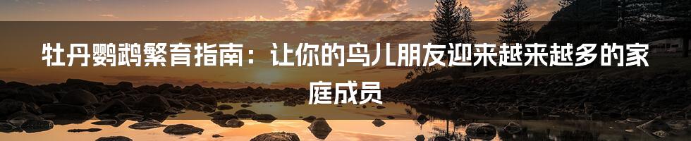 牡丹鹦鹉繁育指南:让你的鸟儿朋友迎来越来越多的家庭成员