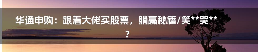 华通申购:跟着大佬买股票,躺赢秘籍/笑**哭**?