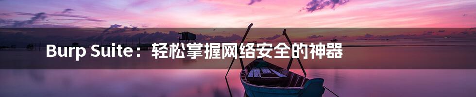 Burp Suite:轻松掌握网络安全的神器