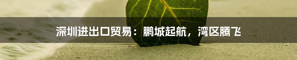 深圳进出口贸易：鹏城起航，湾区腾飞