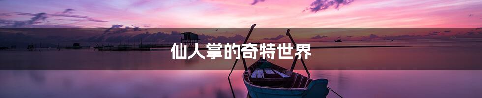 仙人掌的奇特世界