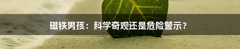 磁铁男孩:科学奇观还是危险警示?