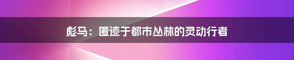 彪马：匿迹于都市丛林的灵动行者