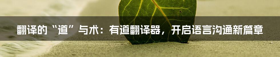 翻译的“道”与术:有道翻译器,开启语言沟通新篇章