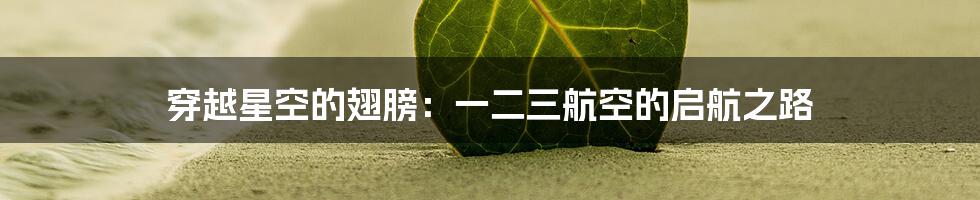 穿越星空的翅膀：一二三航空的启航之路