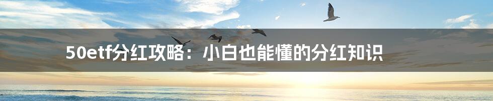 50etf分红攻略：小白也能懂的分红知识