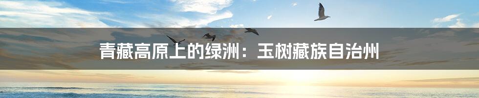 青藏高原上的绿洲:玉树藏族自治州