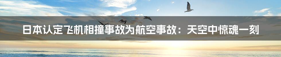 日本认定飞机相撞事故为航空事故：天空中惊魂一刻