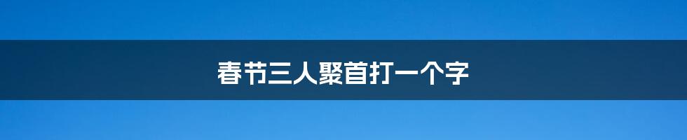 春节三人聚首打一个字