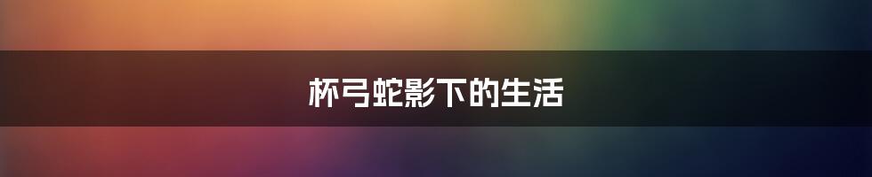 杯弓蛇影下的生活