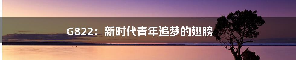 G822:新时代青年追梦的翅膀
