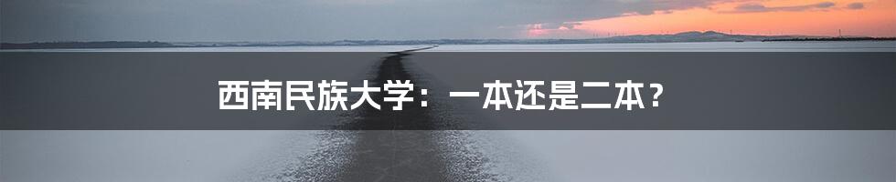 西南民族大学：一本还是二本？