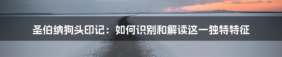 圣伯纳狗头印记：如何识别和解读这一独特特征
