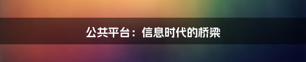 公共平台:信息时代的桥梁