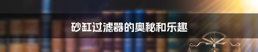 砂缸过滤器的奥秘和乐趣