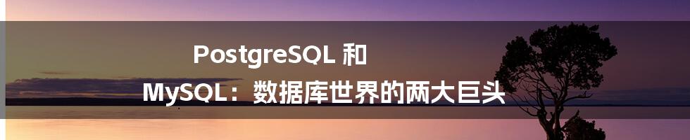 PostgreSQL 和 MySQL:数据库世界的两大巨头