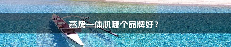 蒸烤一体机哪个品牌好?