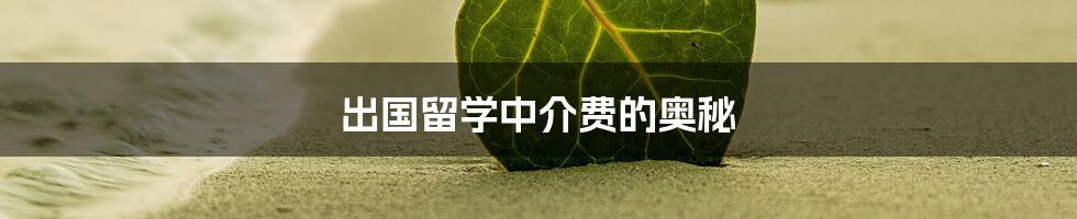 出国留学中介费的奥秘